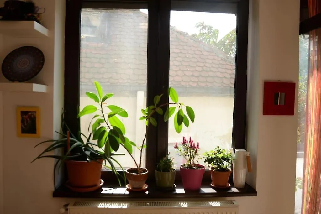 Old Town Bohemian Studio With Garden View Balcony بوخارست
