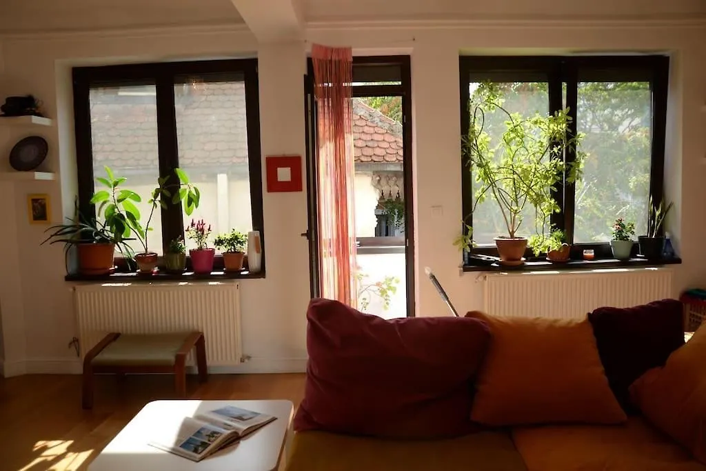 Old Town Bohemian Studio With Garden View Balcony بوخارست 0*,